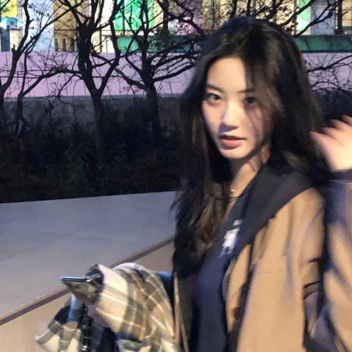 人类的故事